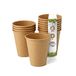 GREENBOX Composteerbare biologische wegwerpbekers, 50 stuks, 250 ml
