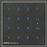 Gira Keyless IN Toegangscontrolesysteem Antraciet Kunststof Inbouw Sleutelschakelaar
