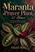 Maranta Maranta leuconeura Prayer Plant at Home: A Practical Guide to Growing Maranta leuconeura Indoors