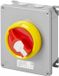 Gewiss INTERRUPTEUR ROTATIF - HP - INTERRUPTEUR D'URGENCE EN APPLIQUE - BOÎTIER MÉTALLIQUE - 25 A 2P - POIGNÉE ROUGE VERROUILLABLE - IP66, GW70486M