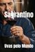 Sagrantino Uvas pelo Mundo