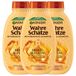 Garnier Echte schatten herstellende shampoo honing schatten, versterkt en voedt beschadigd en broos haar, 3 x 250 ml