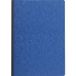 Exacompta Standaard register Planning - Vervaldagboek - 29,7x21 cm - 80 blad - Franstalig - Geassorteerd - 460E