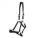 Kavalkade Halster voor paarden Perlon Classic-Simple Cob Zwart