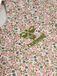 Hummel Kinderbody met Lange Mouwen Hmlberry S/S 224614 Elm Gebloemd Maat 68