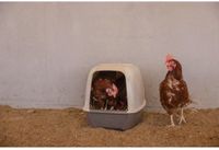 KERBL Nestkast voor kippen - Kunststof - 52 x 39 x 39 cm