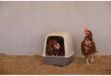 KERBL Nestkast voor kippen - Kunststof - 52 x 39 x 39 cm