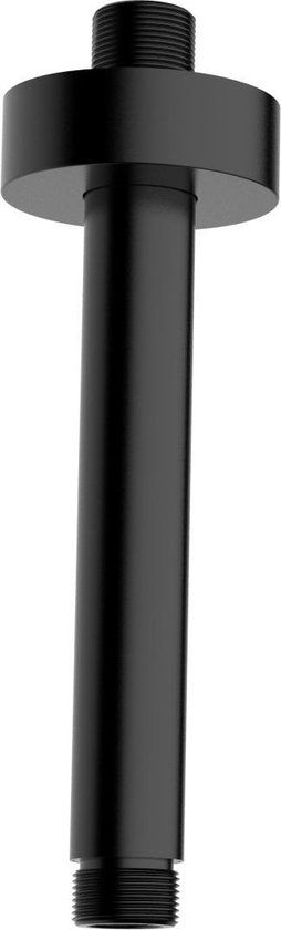 Wiesbaden Caral plafondarm 30cm messing mat zwart