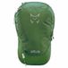Altus Cirque 10l L30 Sac à dos vert