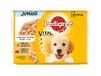 Pedigree Junior natvoer voor honden, kip en rundvlees met gelei-rijst, multipack (13 verpakkingen x 4 zakjes x 100 g)