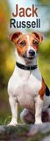 Jack Russell Slim