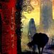Sun Blood Of Kingu Sun In The House Of The Scorpion CD