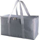 Quadra Grote koeltas - Zilver - 17 liter - 39 x 22 x 19 cm