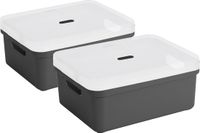 Sunware boîte de rangement - 2x pièces - 24 litres - anthracite - plastique - couvercle transparent - 45x35x18 cm - série Sigma