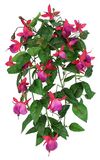Flair Flower Bloeiende hanglamp, roze, 40 x 25 x 23 cm