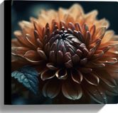 Merkloos / Sans marque Canvas - Donker Oranje en Blauw Gekleurde Dahlie in het Donker - Bloemen - 30x30 cm Foto op Canvas Schilderij (Wanddecoratie op Canvas)