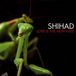 Love Shihad Love Is the New Hate