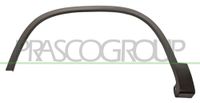 PRASCO Zier-/Schutzleiste, Kotflügel VG8091582 vorne links | Compatibel met: VW TIGUAN