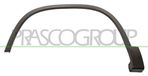 PRASCO Zier-/Schutzleiste, Kotflügel VG8091582 vorne links | Compatibel met: VW TIGUAN