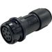 Bulgin PXP4011/10P/3540 Ronde connector Bus Totaal aantal polen: 10 1 stuk(s)