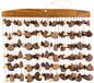 Sela Seed Chime Mixed carillons éoliens