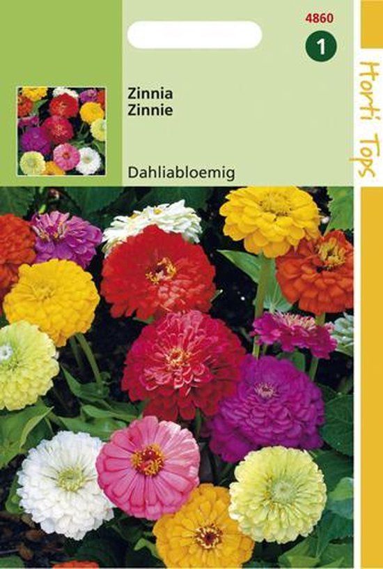 Hortitops Zinnia Dubbele Dahliabl. Gemengd
