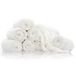Doos Prince Lionheart Doos met 8 herbruikbare Warmies