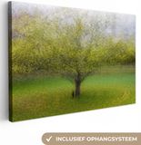 OneMillionCanvasses Canvas Schilderij - Boom Kat Natuur Dieren - 180x120 cm - Multicolor
