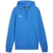 Puma Sweat à capuche Teamgoal Casuals