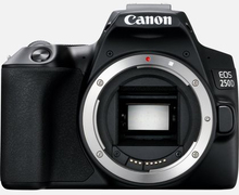 Canon 250D