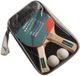 Pegasi 2x Tafeltennisbatjes - 2 ster Talented - Incl. Pingpongballen en Bathoes