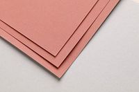 Clairefontaine 696090C Pakket Pastelmat Papier - 5 Vellen Speciaal Karton voor Droge Pastels - A3 29,7x42 cm 360g - Sanguine