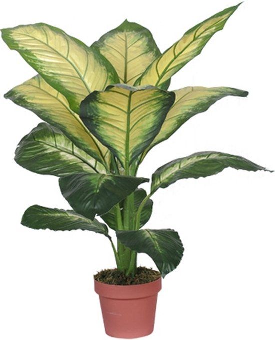 Buitengewoon Boet Kunst Dieffenbachia Dotied - 105 cm