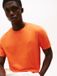 Tommy Hilfiger Heren T-shirt Katoen Korte Mouw S Oranje