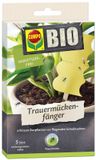 COMPO bio treurmuggenvallen geel - 5 lijmvallen
