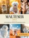 Malteser Malteser Buch: 40 Bilder & Fakten | Maltese Hundebuch als Geschenk für Kinder & Erwachsene
