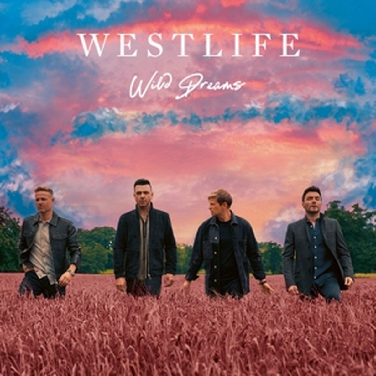 WARNER MUSIC UK LTD Wild Dreams - Muziek - 0190296736308