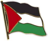 Merkloos Badge/Pin Palestijnse vlag - 20 mm - Free Palestina - Speldje klein