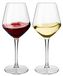 Icecat Set de 2 Verre à vin en plastique incassable