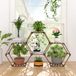 Tikea Support de plantes hexagonal - 6 niveaux - Bois - Noir