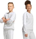 adidas Tiro 26 League Sweat Crew Kinderen Grijs
