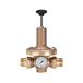 RIEGLER 100.126 drukregelaar voor water, incl. manometer, R 2, 0,2-2 bar, 1 stuk