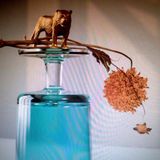 Gallipoli (CD)