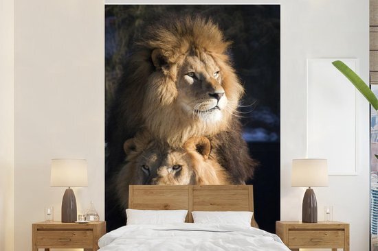 Nr1Wallpaper Behang - Fotobehang Leeuwen - Jagen - Wilde dieren - Breedte 180 cm x hoogte 280 cm