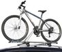 FISCHER Fietsdrager dak wit/zwart/rood