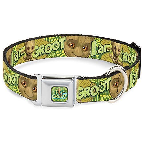 Buckle-Down Dog Collar - Baby Groot Pose - 11-17" - 1" Wide