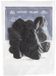 Dunlop Jim Dunlop Ultex Jazz III Plectrums - 2.00 mm - 24 Stuks