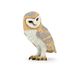 Realistische Papo Realistische Uil Figuur Speelgoed, Wilde Dieren, Kinderen 3+ Jaar