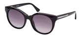 Web We0326 Lunettes de soleil unisexe noir rondes gris 54mm