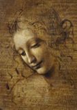 Bluebird Puzzle Leonardo da Vinci La Scapigliata 1000 pièces